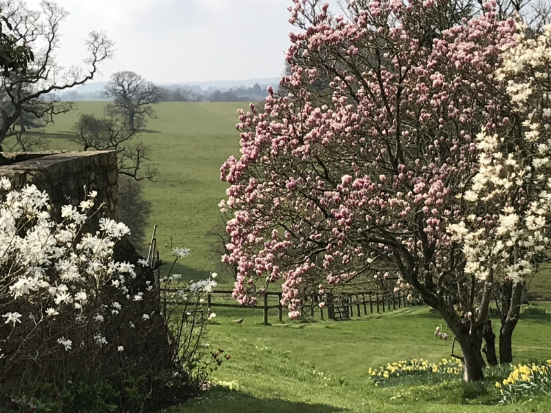 Fonthill House